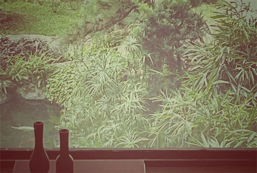 微信圖片_20250513171407.jpg 微信圖片_20250513171407.jpg
